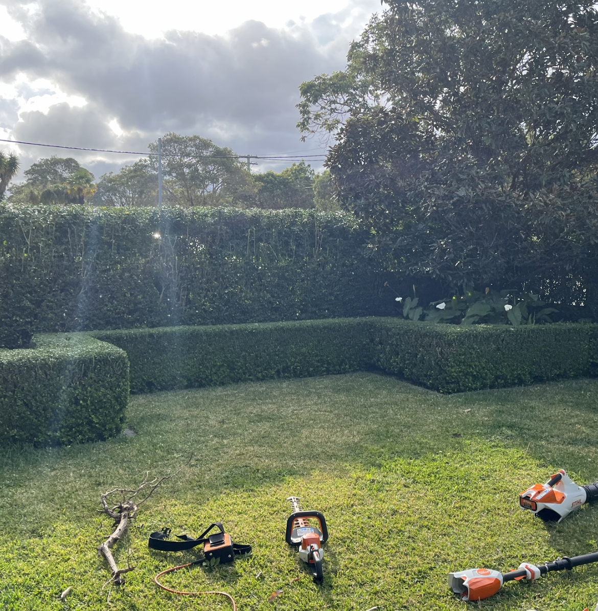 Inner West Hedge Trimming Buxus Hedge